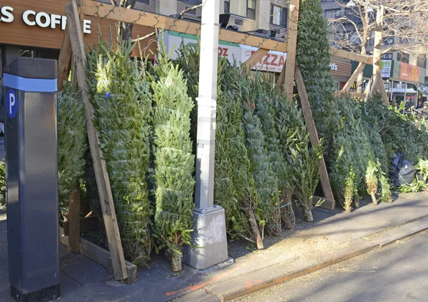 Vendors selling Christmas Trees on the streets of Manhattan. — Stock Photo, Image