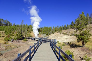 Yellowstone Milli Parkı, Wyoming ABD Boardwaks