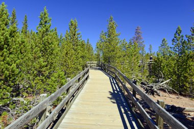 Yellowstone Milli Parkı, Wyoming ABD Boardwaks
