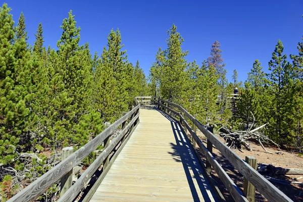 Boardwaks in het Nationaal Park Yellowstone, Wyoming, Verenigde Staten — Stockfoto