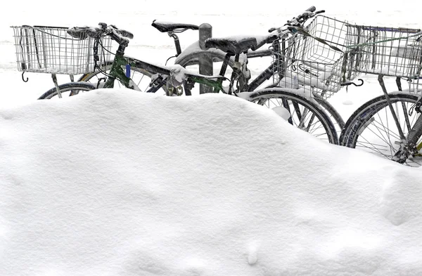 Bicicletas cubiertas de nieve en ventisca — Foto de Stock