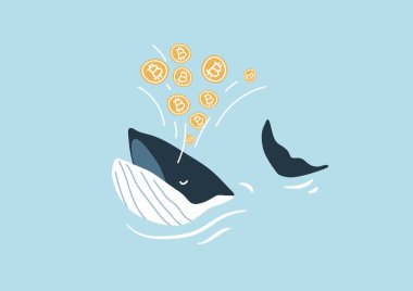 Balina Bitcoin püskürtüyor. Bitcoin Balinaları, kripto para piyasasını taşıyabilen önemli kaynaklara sahip pazar oyuncuları olarak kabul edilir..