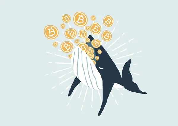 Ballena Comiendo Bitcoin Bitcoin Ballenas Consideran Jugadores Mercado Con Fondos — Archivo Imágenes Vectoriales