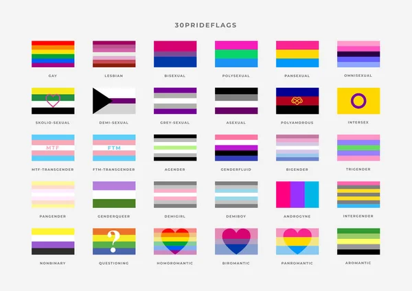 Banderas Orgullo Identidad Establecidas Mes Del Orgullo Bandera Gay Transgénero — Archivo Imágenes Vectoriales