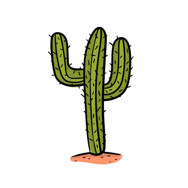 Dibujo Mano Cactus Vector Desierto — Vector de stock