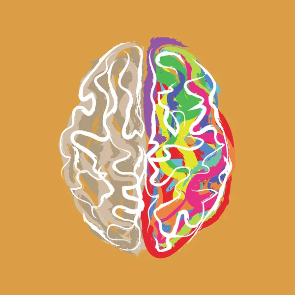 Cervello creativo con tratti di colore vettoriale — Vettoriale Stock