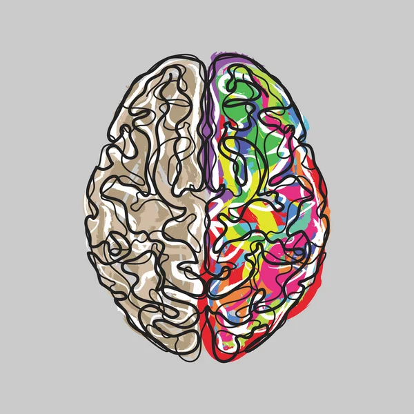 色のストロークのベクターを使用して創造的な脳 — ストックベクタ