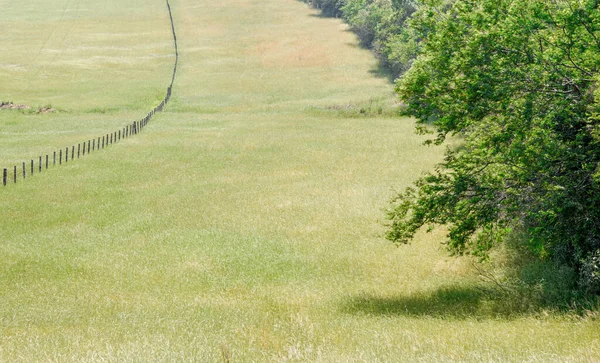Kırsal alan. Çimen ekilmiş tarlalar. Brezilya 'nın içinde küçük bir mülk. Tarım üretim alanı. Kentsel olmayan bir bölge. Ufuk ve yeşil alanlar.