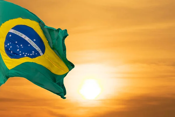 Brazil Flag White Background National Symbol Brazilian Flag Composed Green — Stock Photo, Image