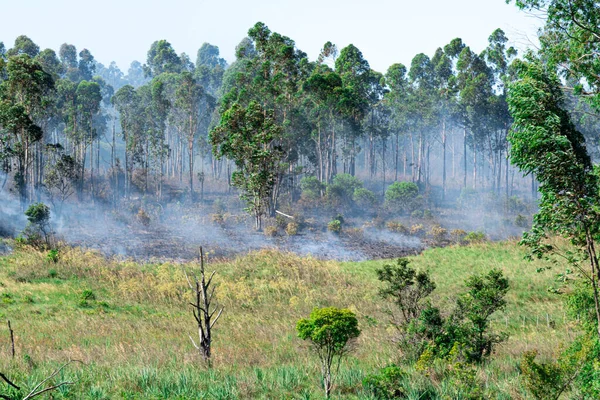 Deforestacion amazonas fotos de stock, imágenes de Deforestacion amazonas sin royalties | Depositphotos Deforestacion amazonas fotos de stock, imágenes de Deforestacion amazonas sin royalties | Depositphotos