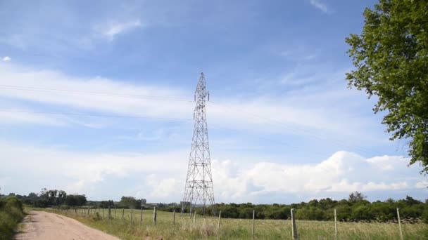 Esdoorn Boom Blauwe Achtergrond Horizon Landelijk Bucolisch Landschap Grote Snel — Stockvideo