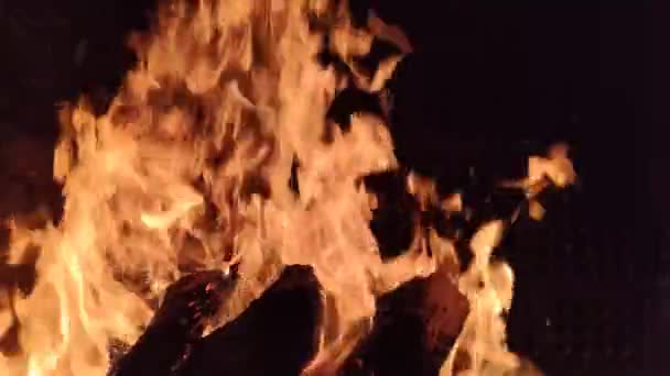 Φλόγες Από Φλεγόμενο Ξύλο Μια Εσωτερική Ψησταριά Πυρκαγιά Ξύλου Δάσους — Αρχείο Βίντεο