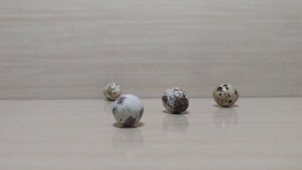 Quail Eggs Laid Flat Surface — Stock Video