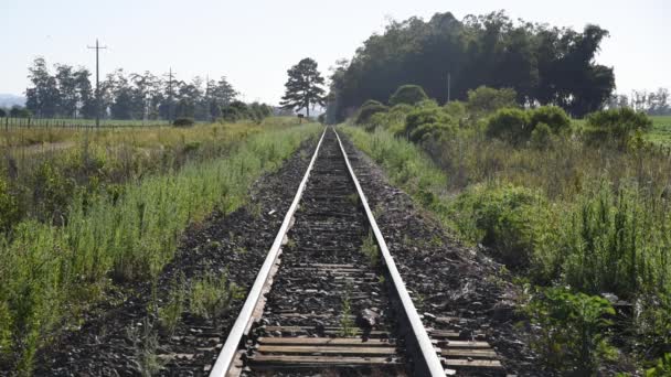 Zugstrecke Eisenbahn Brasilien Bahngleise Zählen Die Ländliche Landschaft Infrastruktur Für — Stockvideo