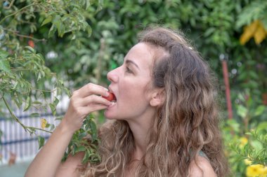 Turist anıtı. So Marcos 'taki İtalyan göçmeni Santa Maria RS Brezilya' ya övün. Turistik bölge. Bilinmeyen hedefler