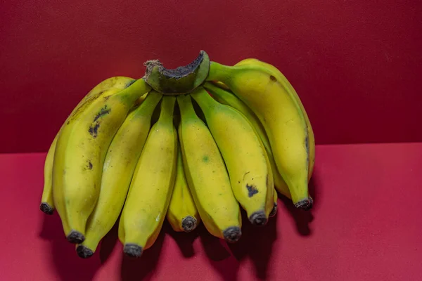 Bunch of yellow bananas. Bananas on the red background. Exotic fruit rich in fiber and source of potassium. Banana fruit (Musa spp.). Plant typical of humid tropical regions.