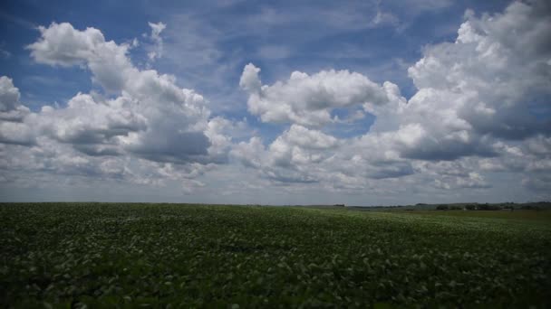 Time Lapse Rain Clouds Blue Sky — Stock Video