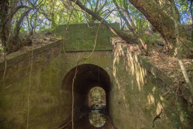 Güney Brezilya 'da terk edilmiş eski bir demiryolu köprüsü. Terk edilmiş mimari. Demiryolu köprüsü. Yağmur suyu dolaşımı için tünel terk edildi.