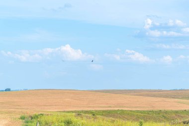 Brezilya 'da tarımsal üretim olmayan tarımsal üretim alanları uygulanır. Soya üretim alanı. tohum ekmeyi bekleyen tarlalar. Çiftlik alanı.