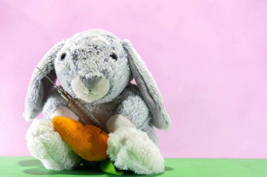 Covid-19 'la savaşmak için şırıngalı bir Paskalya tavşanı. Katolik festivali. Paskalya tavşanı çikolatalı yumurtaları getirir ve saklar. Böylece çocuklar onları arayabilir..