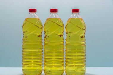 Bottles of edible soy oil on blue background. Olive oil for salads and cooking in general. Soybean oil is extracted from soybean seed and is used as a food source and as biofuel.