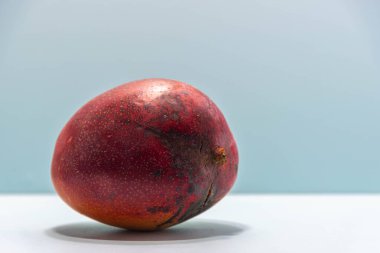 Mavi arka planda taze pembe mango meyvesi. Meyve, lif ve protein açısından zengindir. Doğal yemek ve detoks. Mutfak suları, kremler ve salatalar için gerekli malzemeler.