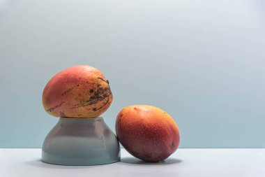 Mavi arka planda taze pembe mango meyvesi. Meyve, lif ve protein açısından zengindir. Doğal yemek ve detoks. Mutfak suları, kremler ve salatalar için gerekli malzemeler.