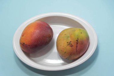 Mavi arka planda taze pembe mango meyvesi. Meyve, lif ve protein açısından zengindir. Doğal yemek ve detoks. Mutfak suları, kremler ve salatalar için gerekli malzemeler.