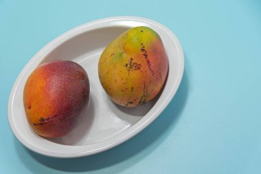 Mavi arka planda taze pembe mango meyvesi. Meyve, lif ve protein açısından zengindir. Doğal yemek ve detoks. Mutfak suları, kremler ve salatalar için gerekli malzemeler.