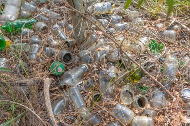 Irregular disposal of glass containers in the environment. Environmental disaster. Pollution. Disposal of waste in a permanent preservation area.