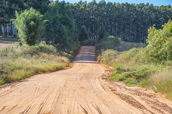 Camino Tierra Una Zona Agrícola Sur Brasil Vicibal Carretera Para — Foto de Stock