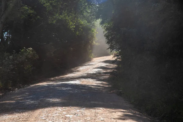 Güney Brezilya Bir Çiftlik Bölgesinde Toprak Yol Tarımsal Üretimin Akışı — Stok fotoğraf