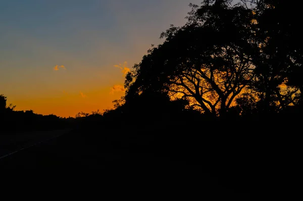 ブラジル南部の夕暮れ時の劇的な空とシルエット 1日の終わりに影と光で日没 自然と自然の美しさ 夕暮れ時の風景 — ストック写真