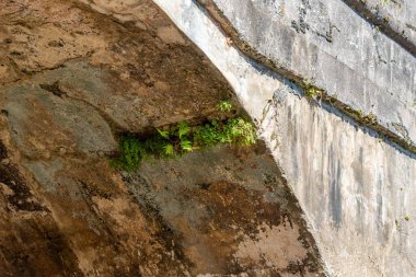 Cachoeira do Sul şehrinde Brezilya İmparatorluğu zamanında inşa edilmiş eski bir taş köprü. İmparator köprüsü. Eski bir yapı. Terk edilmiş ulaşım altyapısı. Botucarai Nehri üzerindeki köprü..