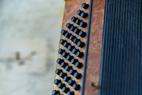 Eski Akordeon Çift Bas Mekanizması Yakın Plan Müzik Aleti Üfleme — Stok fotoğraf