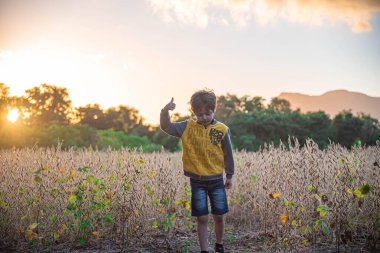 Utangaç Brezilyalı çocuk ve arka planda alacakaranlıkta soya tarlası. Öğleden sonra fotoğraf için poz veren bir çocuk. Kırsal yaşam tarzı. Dramatik manzara ve güneş.