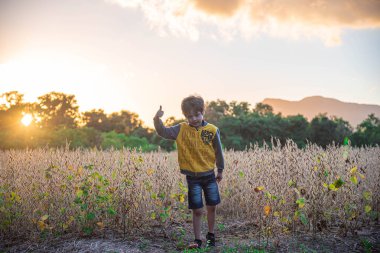Utangaç Brezilyalı çocuk ve arka planda alacakaranlıkta soya tarlası. Öğleden sonra fotoğraf için poz veren bir çocuk. Kırsal yaşam tarzı. Dramatik manzara ve güneş.