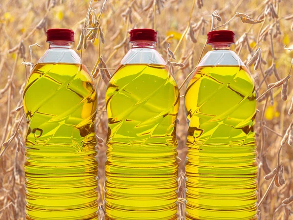 Plastic bottles with edible soy oil on a commercial and themed background. Soy oil is a type of vegetable oil extracted from soy beans and is rich in polyunsaturated fats, omega 3 and 6 and vitamin E.