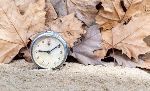Old clock in scenery with maple leaves. Autumn representation image. Old analog clock. Maple leaves and Pltanus. Scene background. Feeling of nostalgia