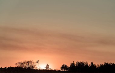 Güney Brezilya 'daki Pampa biyolojisinin tarlalarında gecenin renkli renkleri. Kırsal alan. Dramatik gökyüzü ve doğal siluetler. Akşamın huzur ve sükuneti. Doğal ve açık hava sahnesi. Güzel sanatlar.