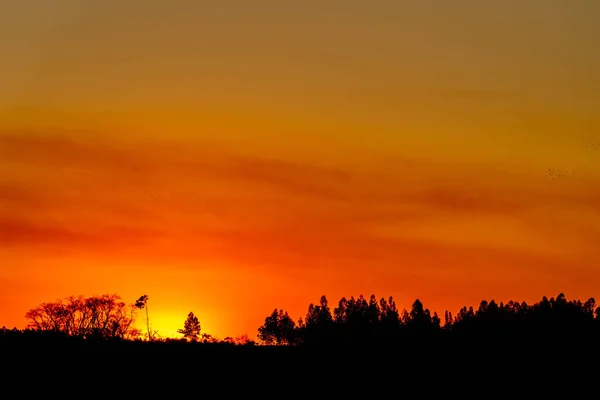 Красочные Тона Вечера Полях Биома Пампы Юге Бразилии Сельский Пейзаж — стоковое фото