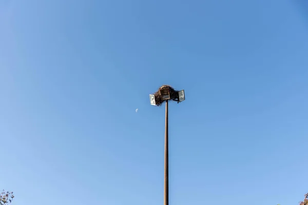 Torre Iluminación Con Nido Aves Sobre Fondo Azul Poste Energía — Foto de Stock