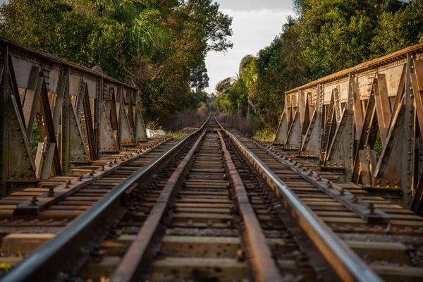 Rail transport bridge. Transport infrastructure. Train tracks. Railroad. Metal.