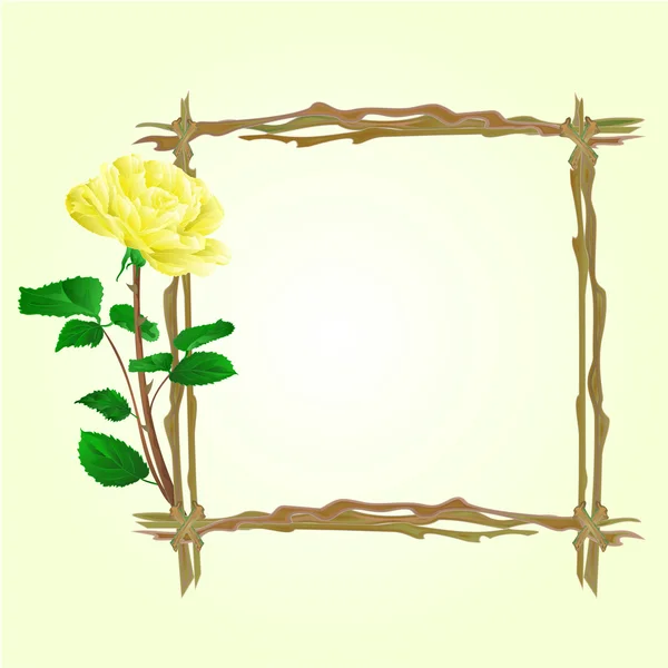 The frame from twigs with yellow rose vector — Stock Vector