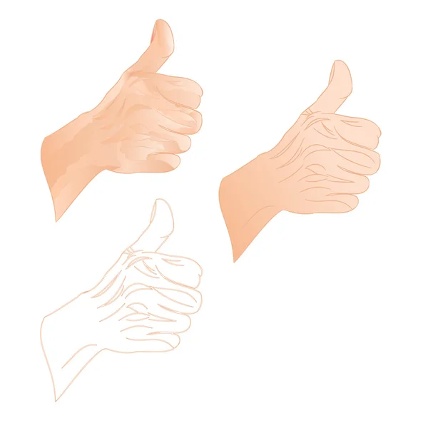 Menselijke hand juiste O.K. vector — Stockvector