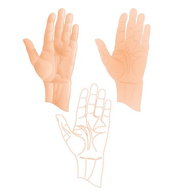 İnsan sol el işaretçisi dur vektör