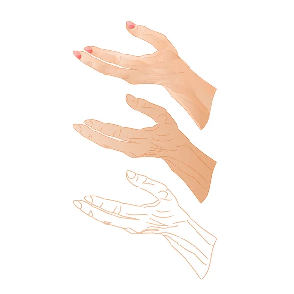 Human hand gesture vector — Stock Vector