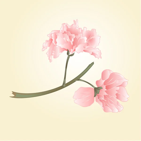 Sakura flores vector — Vector de stock