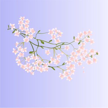 Dal küçük vektör çiçek