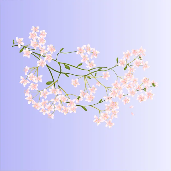 Zweig mit kleinen Blüten Vektor — Stockvektor